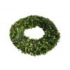 Buxus wreath round small